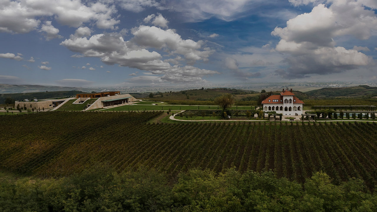 Vineyard and winery Dragasani Romania